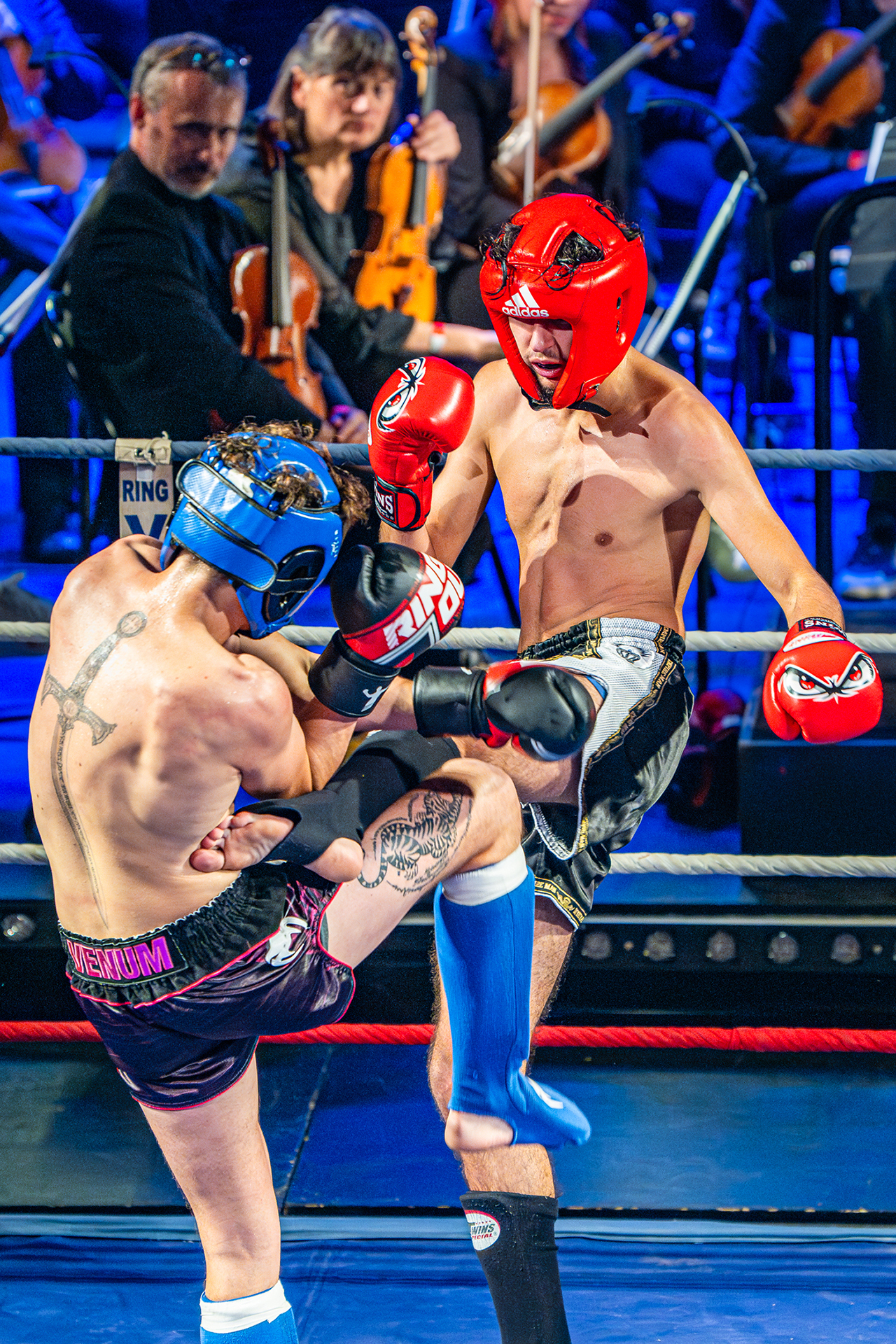 Bisons Fight Night II avec l'Orchestre Victor Hugo